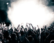 Foto: Concert crowd Concert crowd