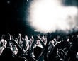 Foto: Concert crowd Concert crowd