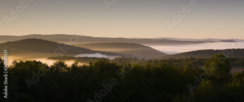 Photo: Forested Landscape at Dawn Forested Landscape at Dawn