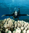 scuba diver