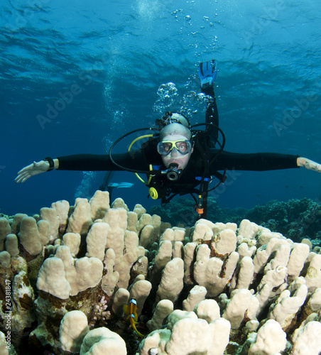 Photo: scuba diver scuba diver