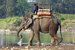 Photo: Elephant and mahout at river in Nepal Elephant and mahout at river in Nepal