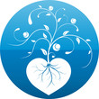 Floral heart plant