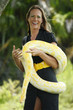 Young woman plays with an albino burmese python
