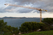 Yellow crane on the coast Yellow crane on the coast