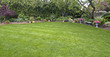 Lawn with trees