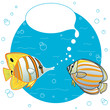 Tropical fish chat