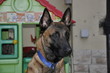 sguardi
