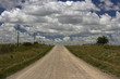 Camino