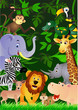 Animal in the jungle
