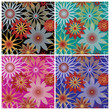 Bold Blossoms Pattern