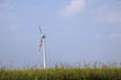 windrad am feld
