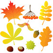 Autumn treasures in CMYK Autumn treasures in CMYK