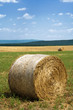 rotoballa sul campo