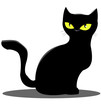 schwarze Katze