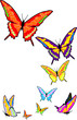 butterfly butterfly