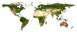 Detail world map Detail world map