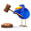 3d Blue bird with gavel