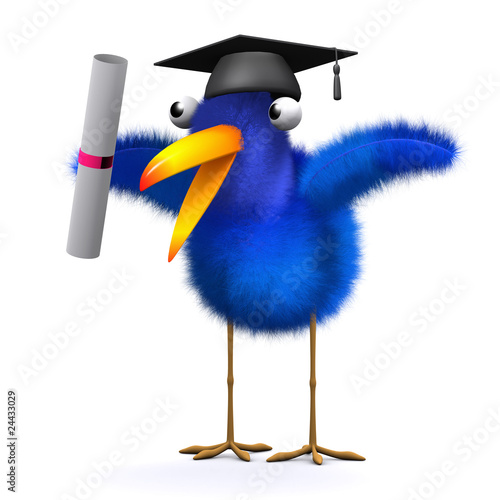 Illustration: 3d Blue bird graduates 3d Blue bird graduates