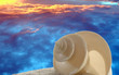 Seashell Sand and Sunset