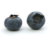 Bilberries on white background