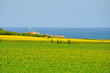 Littoral breton