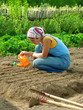 woman sowing seeds at the rural farm