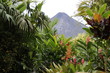 landscape-volcano-rainforest-arenal