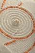 Muschel im Sand mit Spuren Muschel im Sand mit Spuren