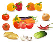The colorful group of vegetables. Photo-realistic vector. The colorful group of vegetables. Photo-realistic vector.