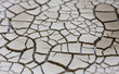 dried ground with cracks