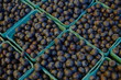 boxes of blueberries