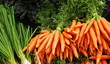 carrots and green onions