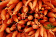 carrots carrots
