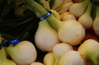 onion bunches with twist ties