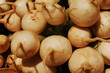 turnips