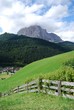 selva di val gardena
