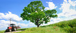 Farming tractor and big green tree