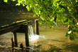 Teich