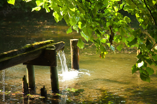 Foto: Teich Teich
