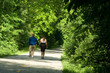 Lovers on a Walk