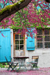 Photo: chill under a tree chill under a tree