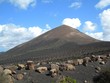 Vulkan Lanzarote