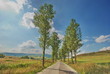 sulla strada per Viscri
