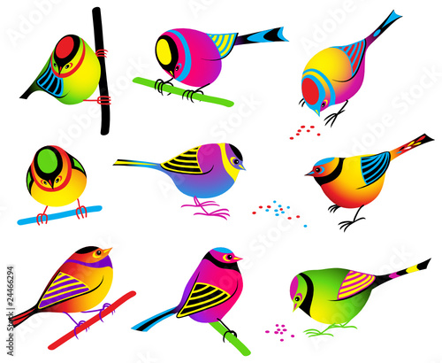 Vector: Collection of Colorful Birds Collection of Colorful Birds