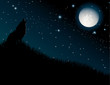 Wolf howling at the moon on night background Wolf howling at the moon on night background