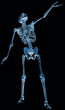 skeleton, what's up? x-ray skeleton, what's up? x-ray