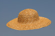 Fliegender Sonnenhut
