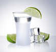 shot glass filled with clear cold alcohol shot glass filled with clear cold alcohol
