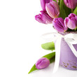 Pink tulips
